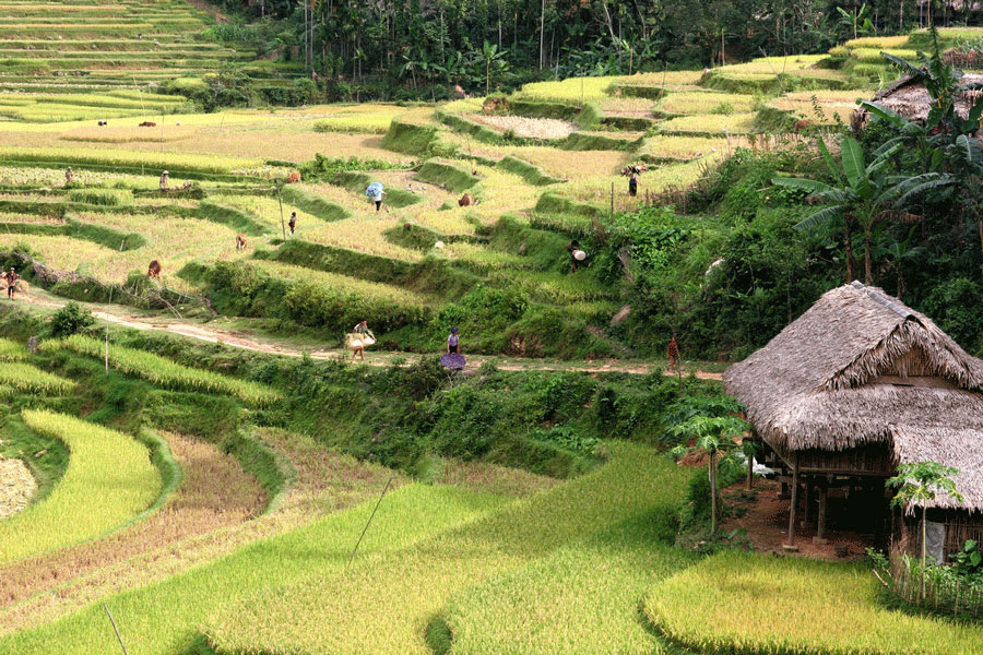 Mejor época para visitar Pu Luong, itinerario y atracciones en Pu Luong