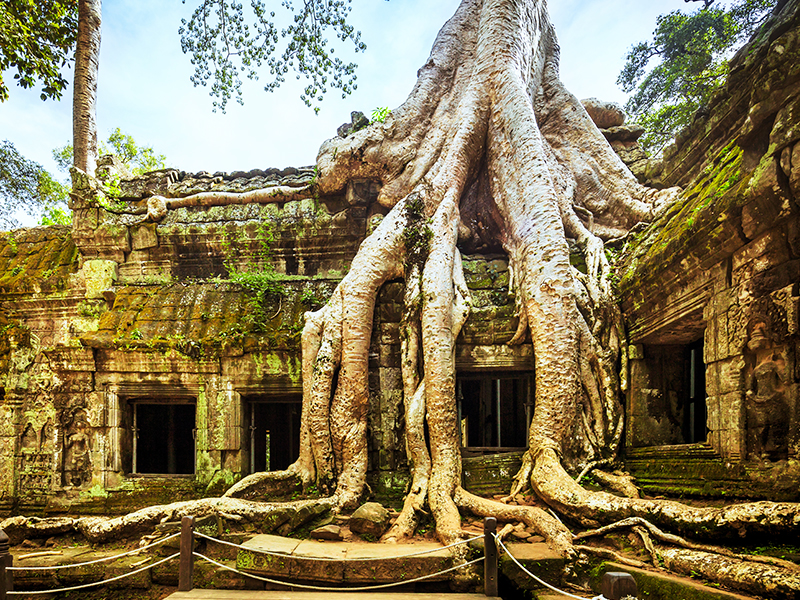 Vietnam y Camboya Clásico 14 días