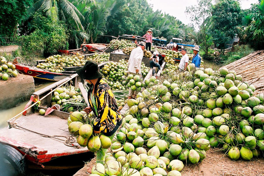 Mejor época para viajar Ben Tre, Mejores itinerario y atracciones a Ben Tre