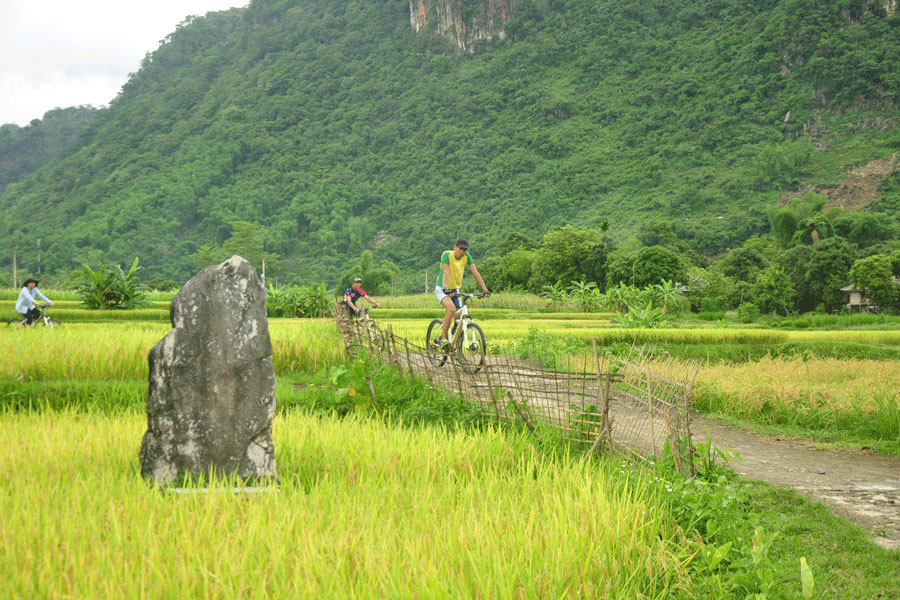 Mejor época para visitar Pu Luong, itinerario y atracciones en Pu Luong