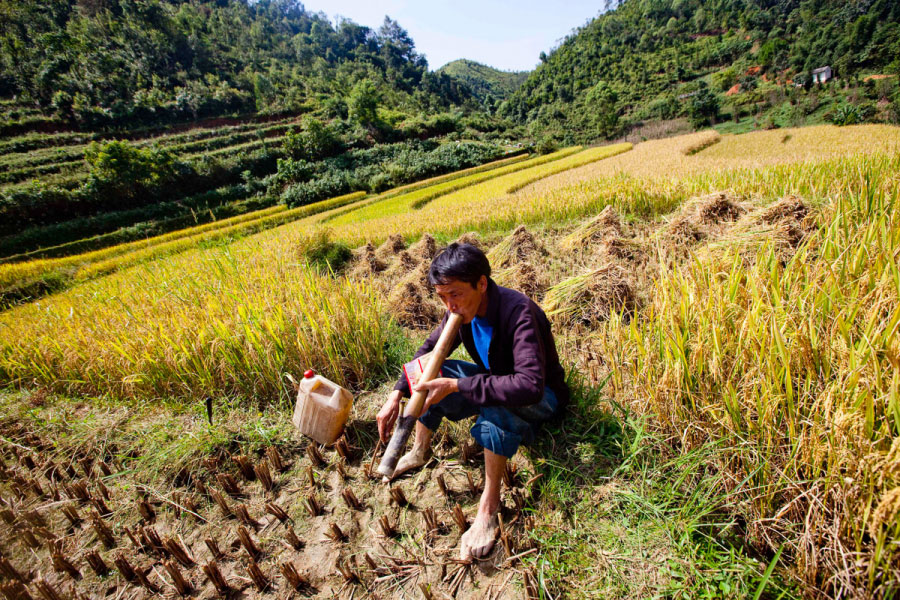 Mejor época para visitar Ha Giang, itinerario y atracciones en Ha Giang