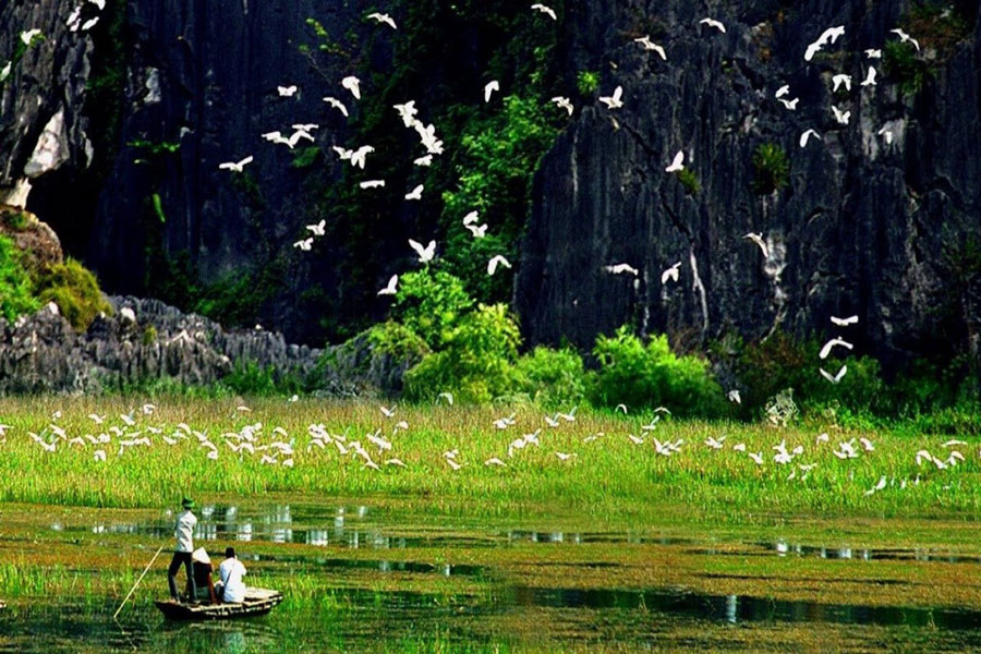 Mejor época para visitar Ninh Binh, itinerario y atracciones en Ninh Binh